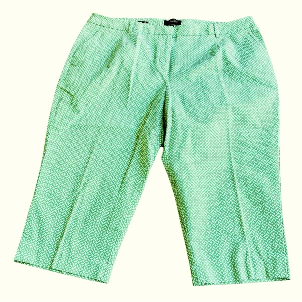 Talbots Heritage Green Patterned Cropped Pants Size 20WP